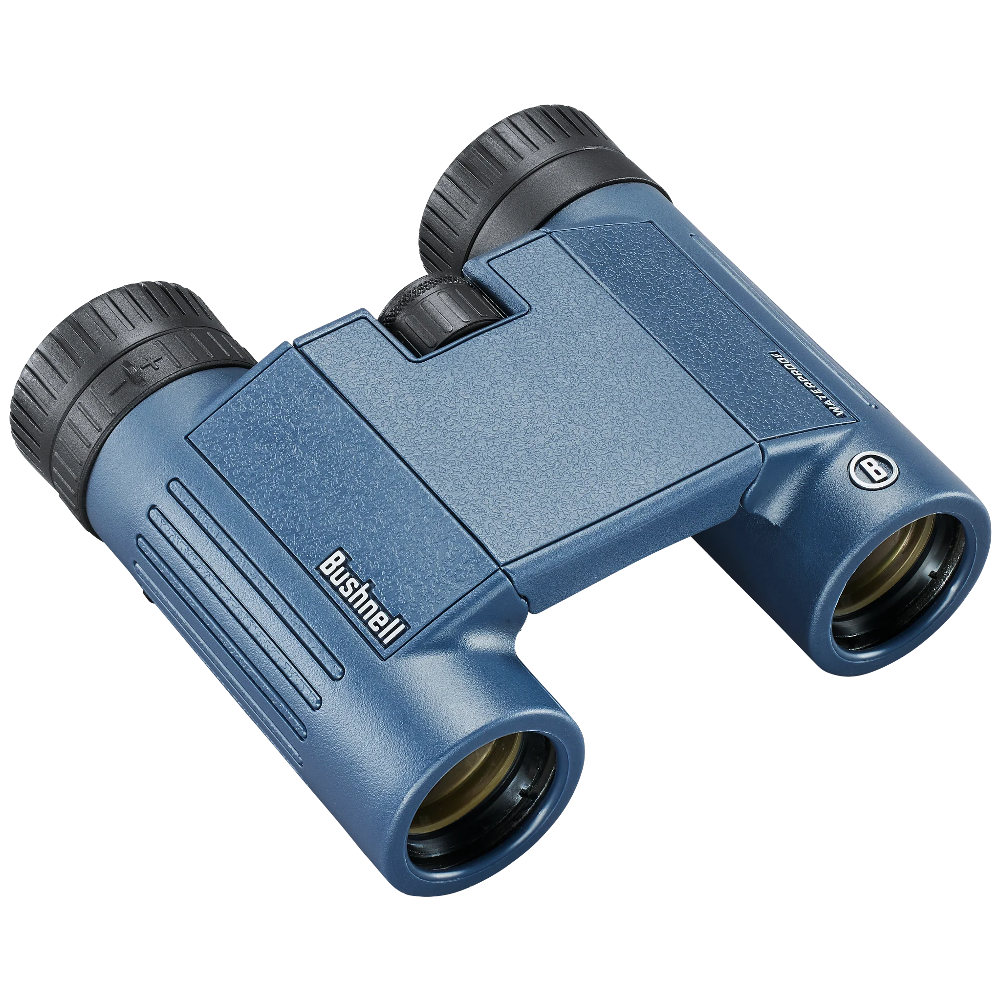 H2O 10x25 Waterproof Binoculars